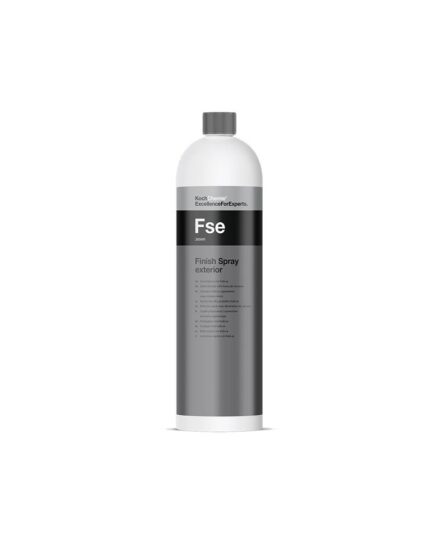 ΚΑΘΑΡΙΣΤΙΚΟ/ ΣΥΝΤΗΡΗΤΙΚΟ FINISH SPRAY EXTERIOR (FSE)
